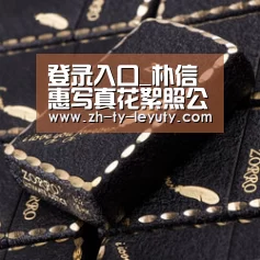 登录入口