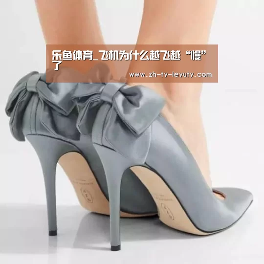 乐鱼体育_飞机为什么越飞越“慢”了(图4) 乐鱼VIP注册app下载