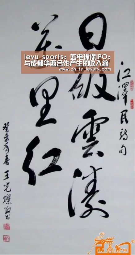 leyu sports:蓝电环保IPO:与成都华西合作产生的收入缩水(图2) 乐鱼体育