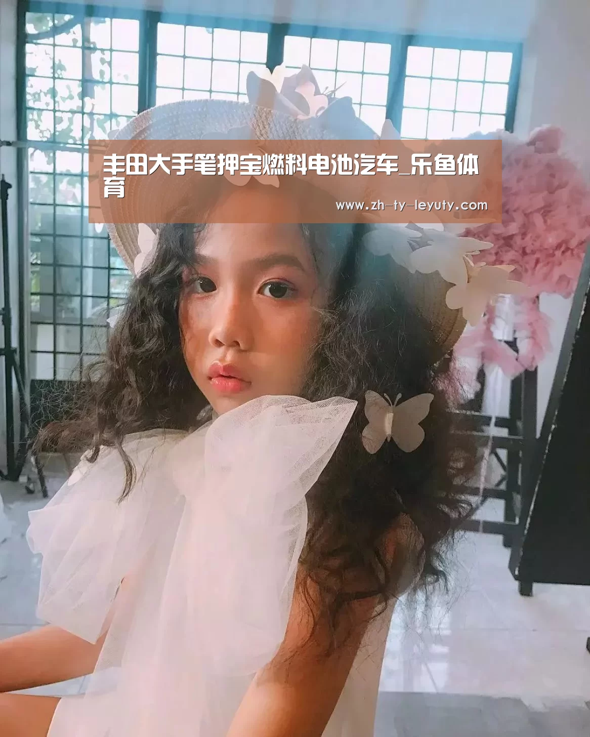 丰田大手笔押宝燃料电池汽车_乐鱼体育(图4) 乐鱼体育