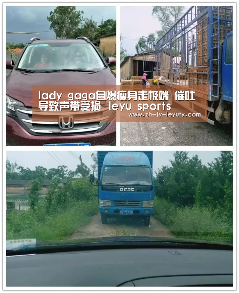 leyu sports
