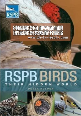 纯碱期货回调空间有限 玻璃期货供需面仍偏弱“乐鱼VIP注册app下载”(图2) 乐鱼体育